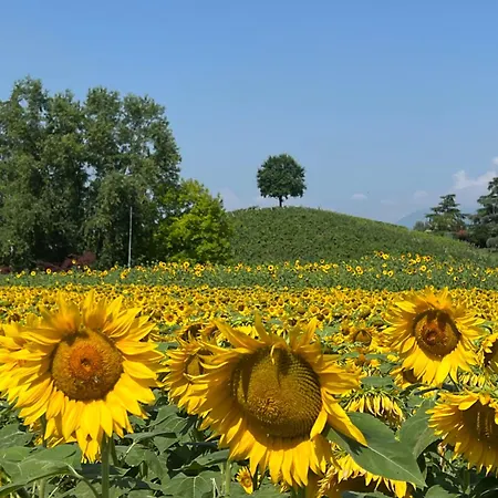 ベッド・アンド・ブレックファスト Borghetto San Biagio Relais 4*